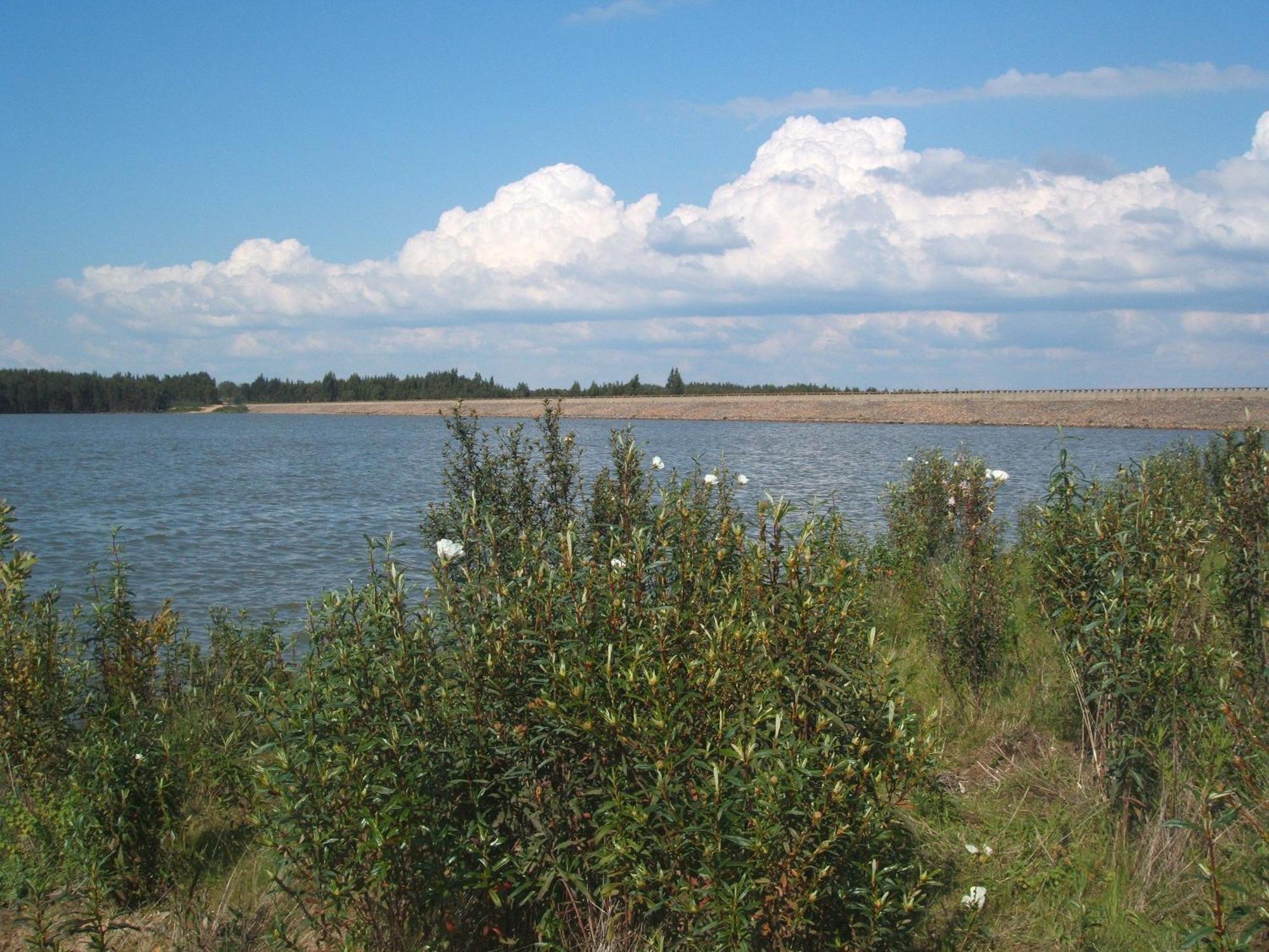 Verdemar Cercal do Alentejo Exteriör bild